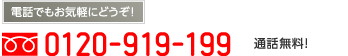 0120-919-199